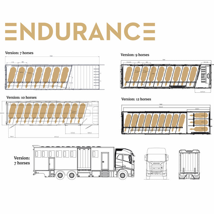 Theault - Endurance Horsetruck