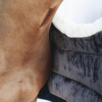 Kentucky Horsewear Horse Bib - Winter/Summer