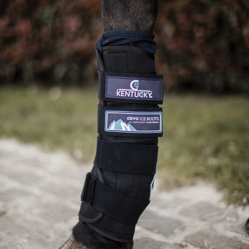 Kentucky Horsewear Cryo Ice Boots