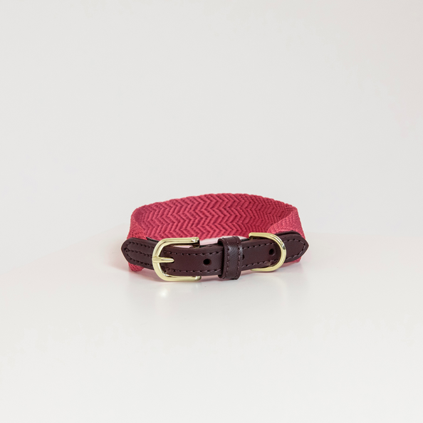 DOG COLLAR JACQUARD
