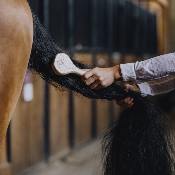 MANE BRUSH