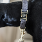 Kentucky Horsewear Dog Collar Wool