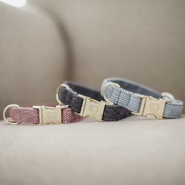 Kentucky Horsewear Dog Collar Wool