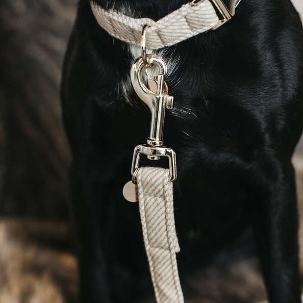 Kentucky Horsewear Dog Lead Wool