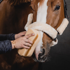 One Equestrian Sponge With Grip