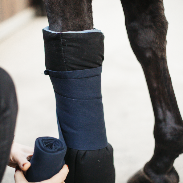 Kentucky Horsewear Magnetic Bandages Pads Recuptex - Set Of 2