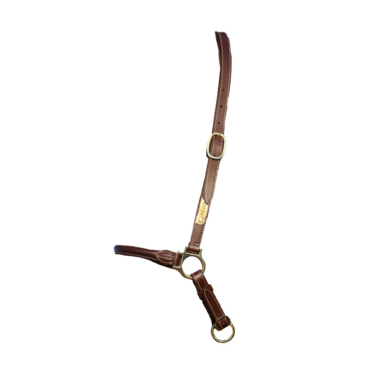 Leather Grooming Halter
