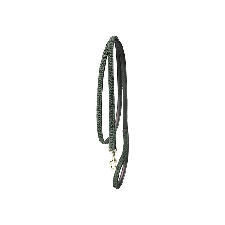 Plaited Nylon Dog Lead