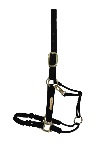 Control Halter