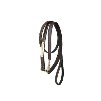 Leather Covered Chain Lead