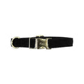 Kentucky Horsewear Dog Collar Corduroy