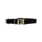 Kentucky Horsewear Dog Collar Corduroy