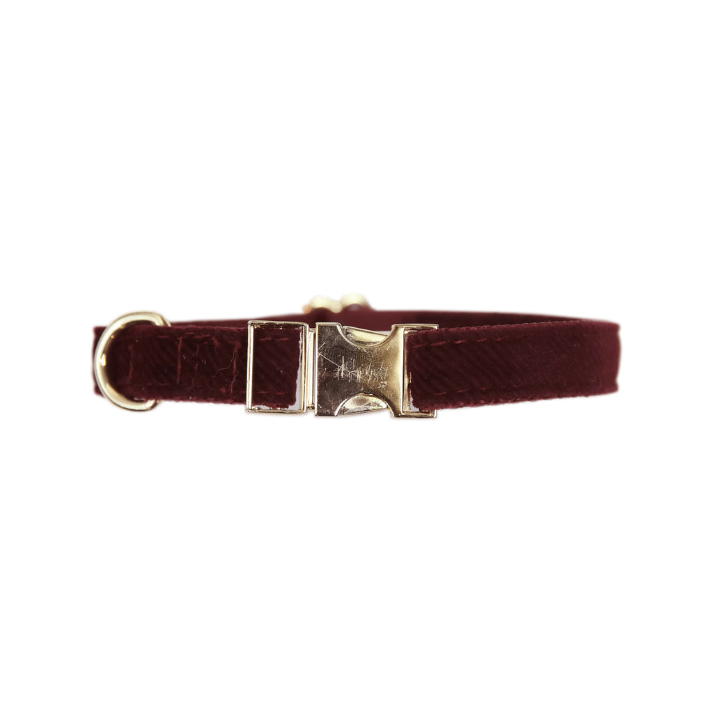 Kentucky Horsewear Dog Collar Corduroy