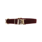 Kentucky Horsewear Dog Collar Corduroy