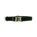 Kentucky Horsewear Dog Collar Corduroy