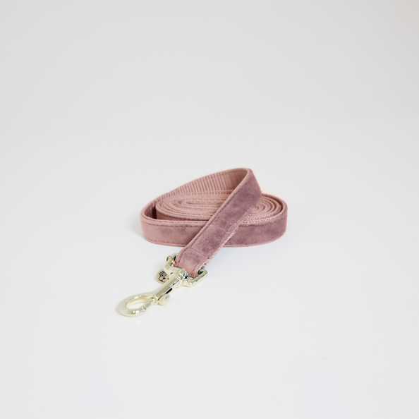 Kentucky Horsewear Dog Lead Velvet 120Cm