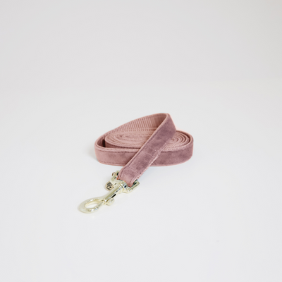DOG LEAD VELVET 120CM