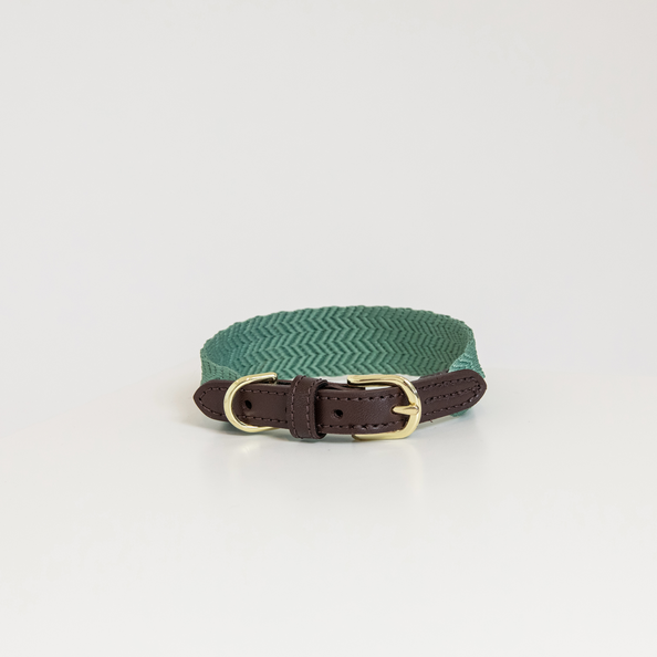 Kentucky Horsewear Dog Collar Jacquard