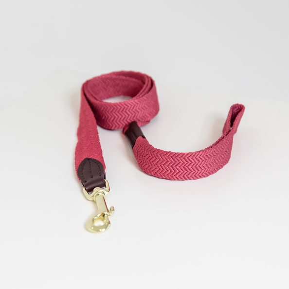 Kentucky Horsewear Dog Lead Jacquard 140 Cm