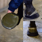 Kentucky Horsewear Sole Tape
