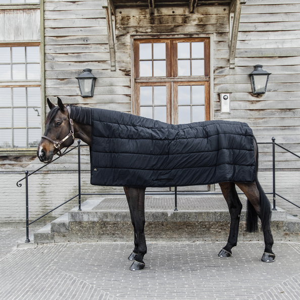 HORSE DUVET 300G