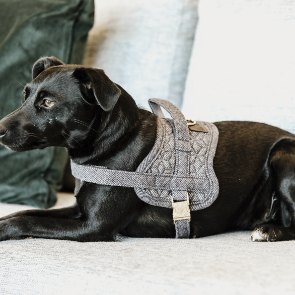 DOG HARNESS BODY SAFE WOOL