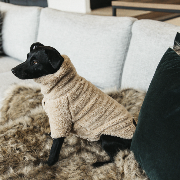 Kentucky Horsewear Dog Sweater Teddy Fleece