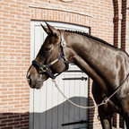 Kentucky Horsewear Leather Chain Lead 270Cm