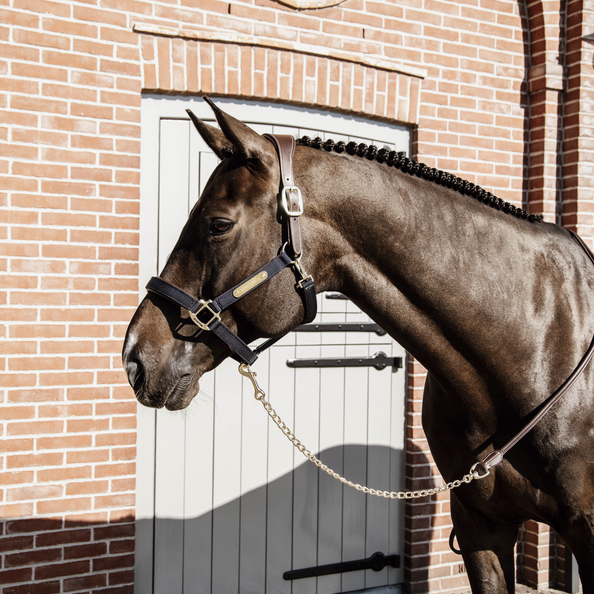 Kentucky Horsewear Leather Chain Lead 270Cm