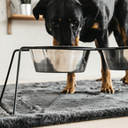 Kentucky Horsewear Dog Bowl Comfort Feeder