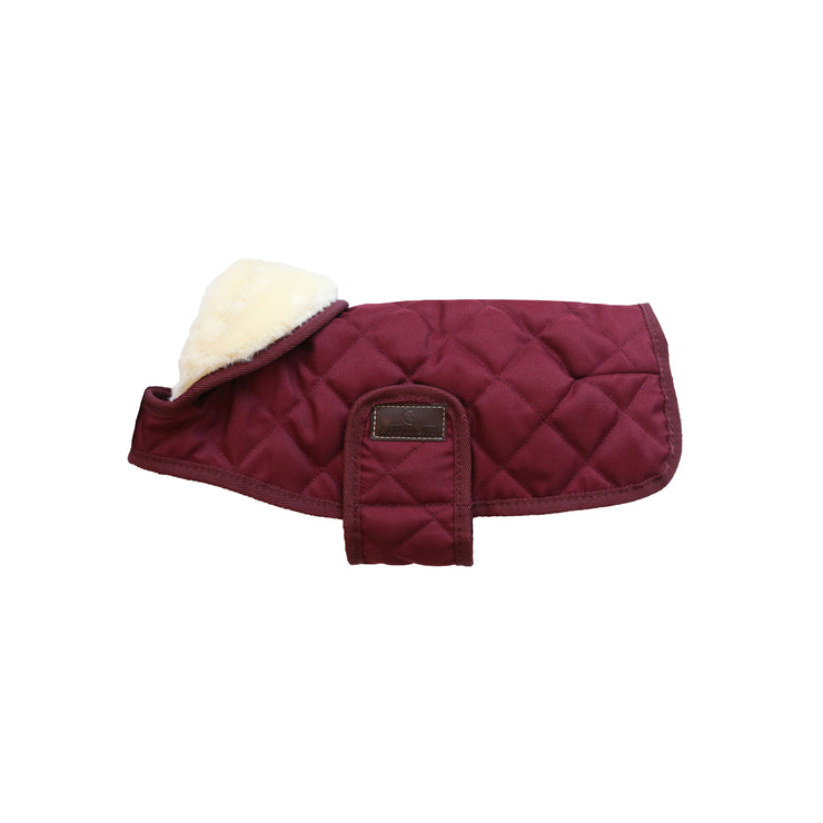 Dog Coat