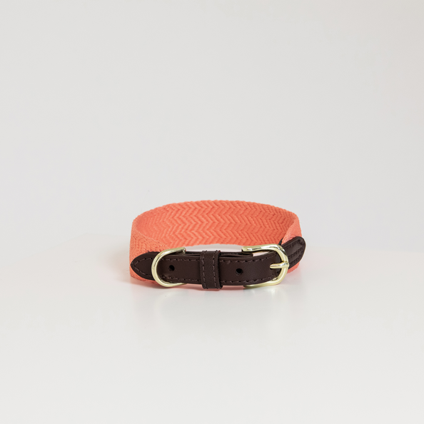 Kentucky Horsewear Dog Collar Jacquard