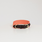 Kentucky Horsewear Dog Collar Jacquard