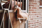 Kentucky Horsewear Relax Horse Toy
