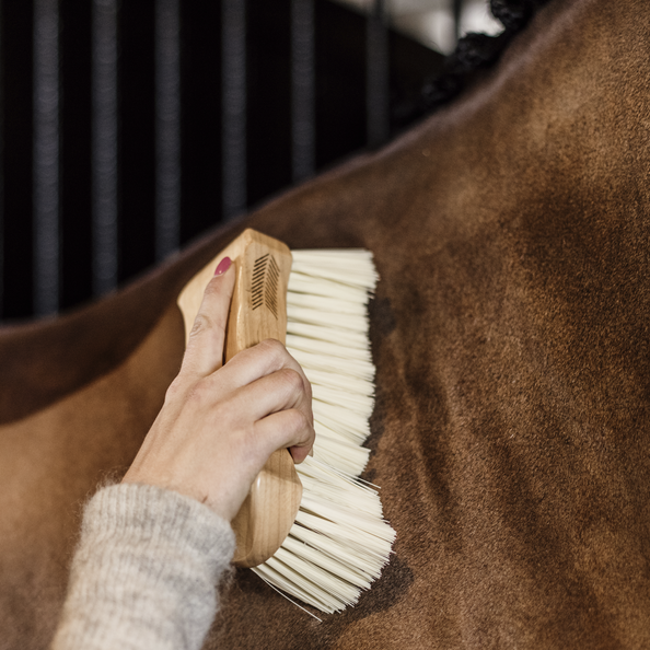 Kentucky Horsewear Body Brush Middle Soft