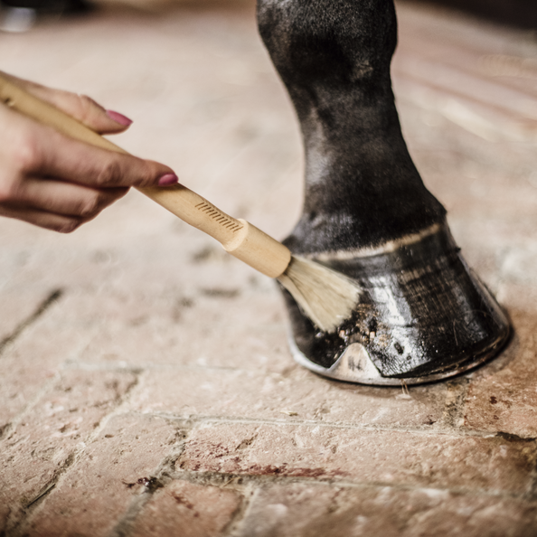 Kentucky Horsewear Hoof Pencil