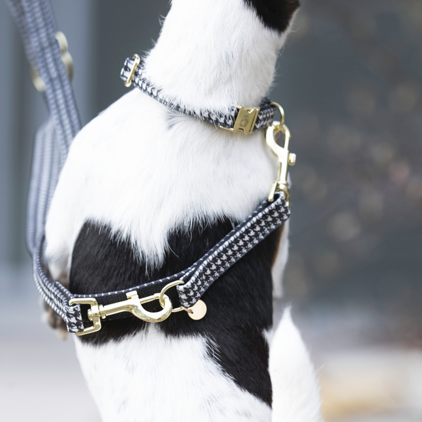 Kentucky Horsewear Dog Lead Pied-De-Poule 2M