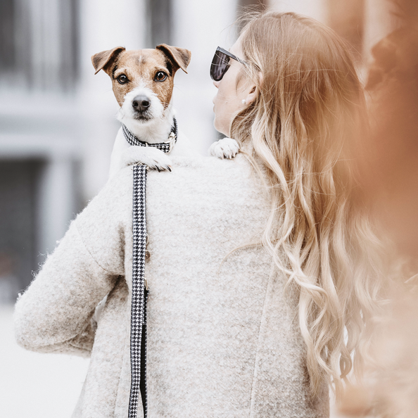 DOG LEAD PIED-DE-POULE 2M