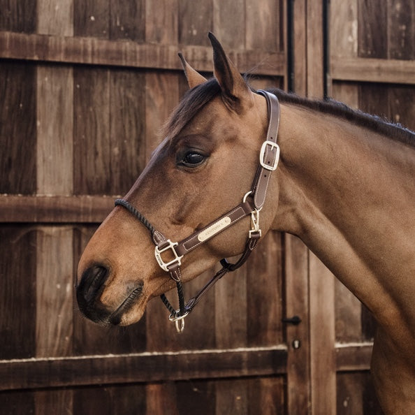 Kentucky Horsewear Leather Rope Halter