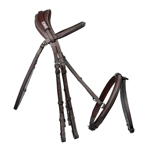 Anatomic bridle with fancy stitching
