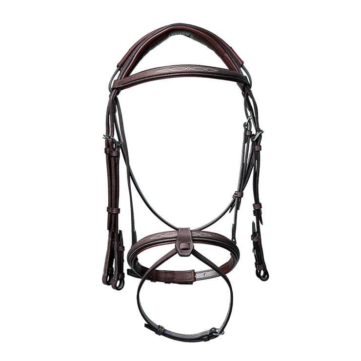 Anatomic bridle with fancy stitching