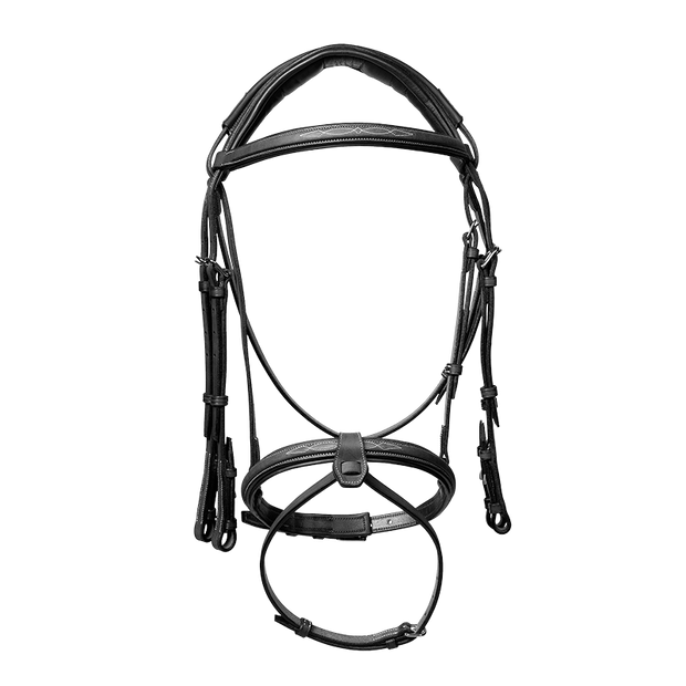 Anatomic bridle with fancy stitching