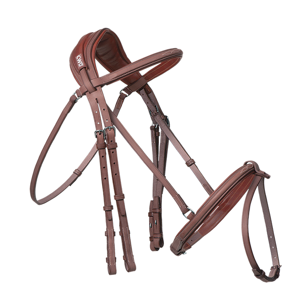 Anatomic bridle with fancy stitching