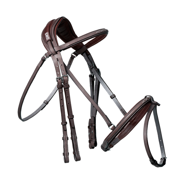 Anatomic bridle with fancy stitching