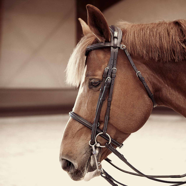 Anatomic bridle with fancy stitching