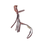 CWD Anatomic Figure Of 8 Noseband Snaffle Bridle