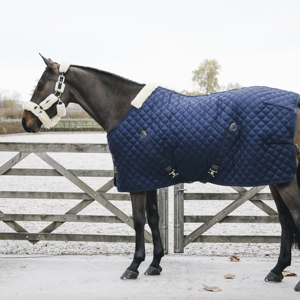 Stable Rug