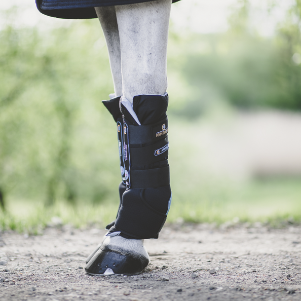 MAGNETIC STABLE BOOTS RECUPTEX