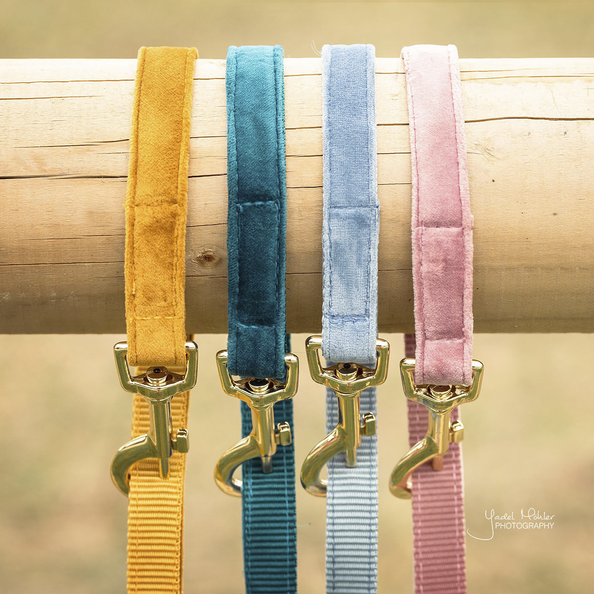 Kentucky Horsewear Dog Lead Velvet 120Cm