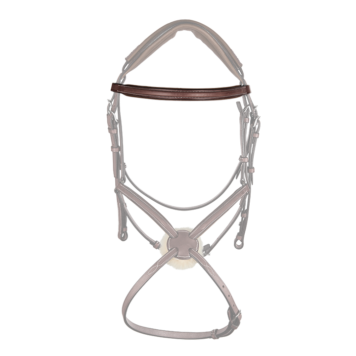 CWD Browband